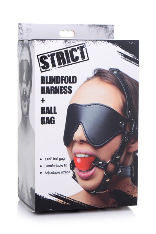 Blindfold Harness With Ball Gag