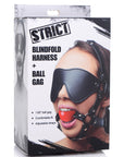 Blindfold Harness With Ball Gag