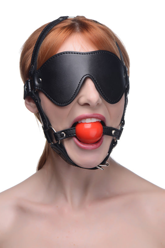 Blindfold Harness With Ball Gag