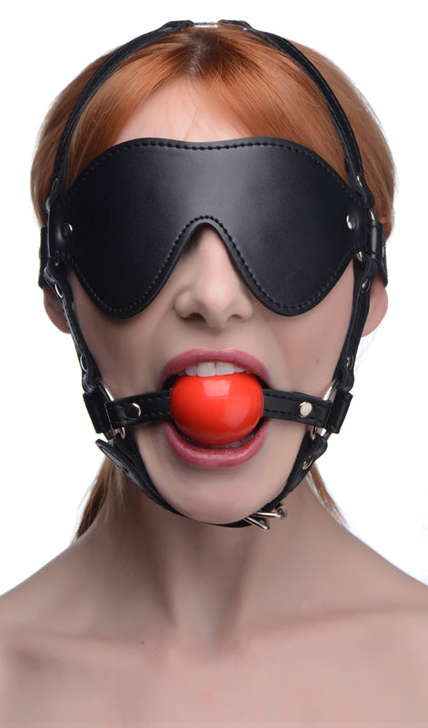 Blindfold Harness With Ball Gag